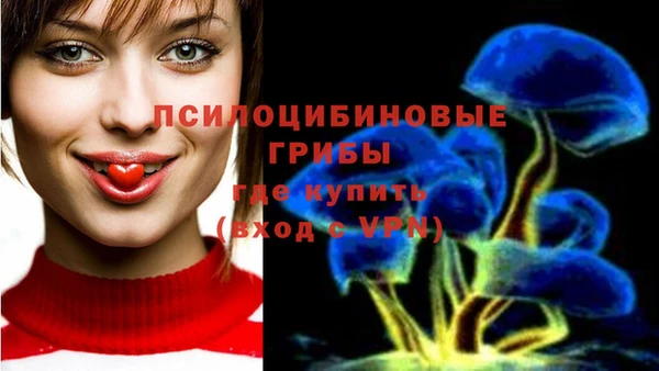 марки lsd Медногорск