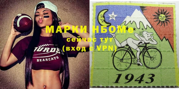 прущие грибы Михайлов