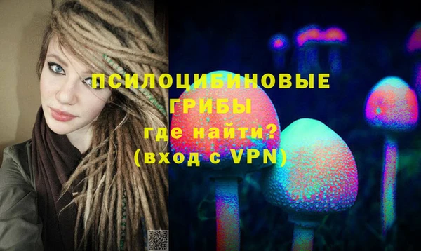 прущие грибы Михайлов