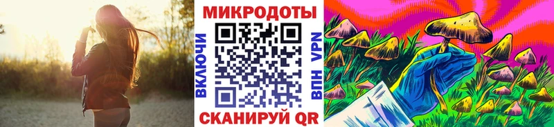 Купить где  Котельники  Псилоцибиновые грибы мицелий 