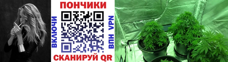 МАРИХУАНА SATIVA & INDICA  Купить  Котельники 